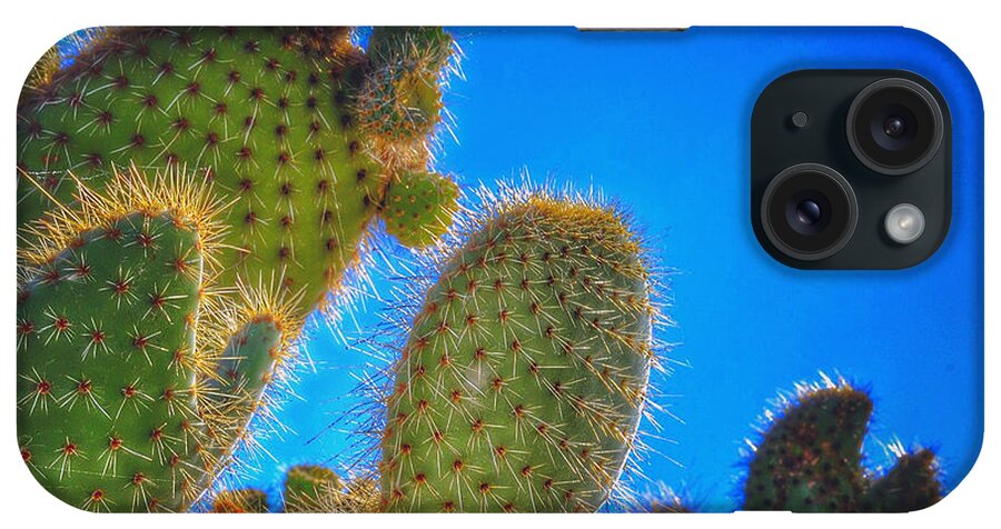 Cactus iPhone Case featuring the photograph Morning Bristles by Bill Owen