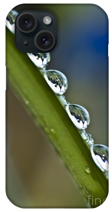  iPhone Case featuring the photograph Morning dew drops 2 by Heiko Koehrer-Wagner