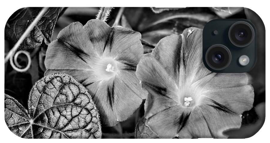 Flower iPhone Case featuring the photograph Morning Glory - BW by Christopher Holmes