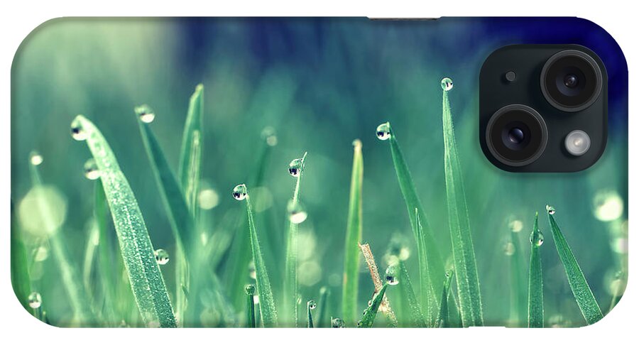 Tranquility iPhone Case featuring the photograph Morning Grass by Photography By Lana Galina