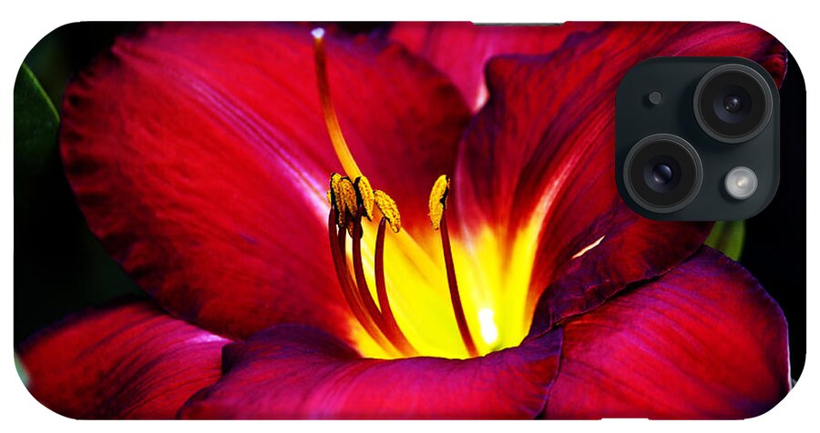 Geranium iPhone Case featuring the photograph Morning Heat by Edward Hawkins II