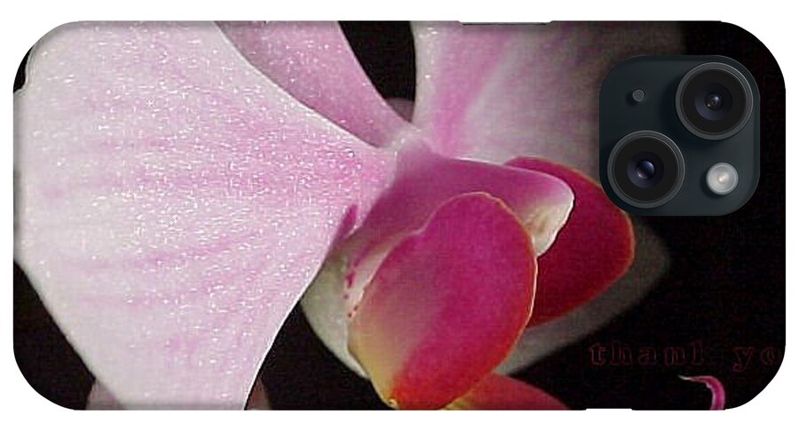 Flower iPhone Case featuring the photograph Morning Light Orchid 2 and a reminder to utter the words Thank You. by Raenell Ochampaugh