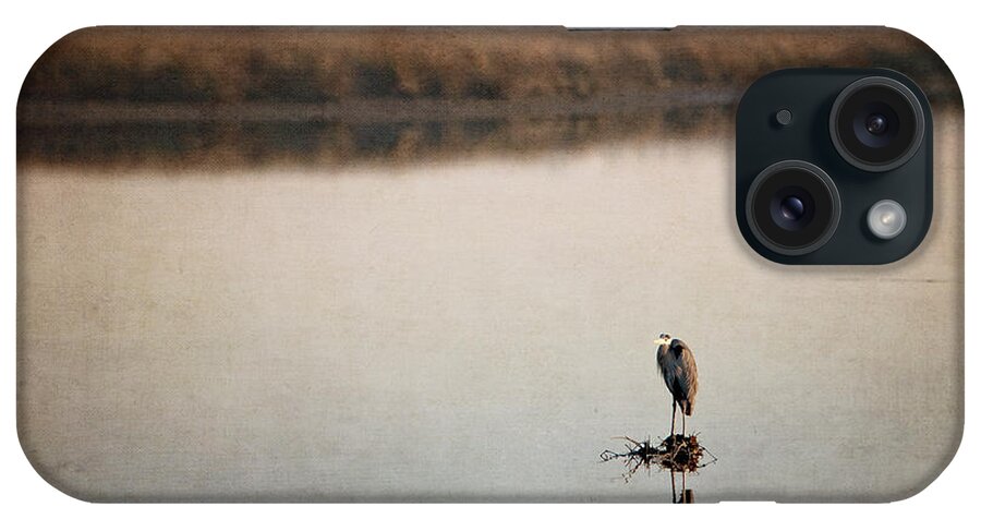 Birds Ocean Springs Mississippi Texture iPhone Case featuring the photograph Morning Solitude by Joan McCool