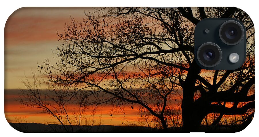 Sunset iPhone Case featuring the photograph Morning View in Bosque by James Gay