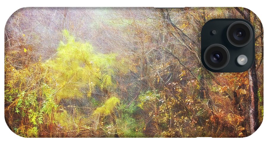 Misty Morning iPhone Case featuring the photograph Landscape - Trees - Morning Walk In The Woods by Barry Jones