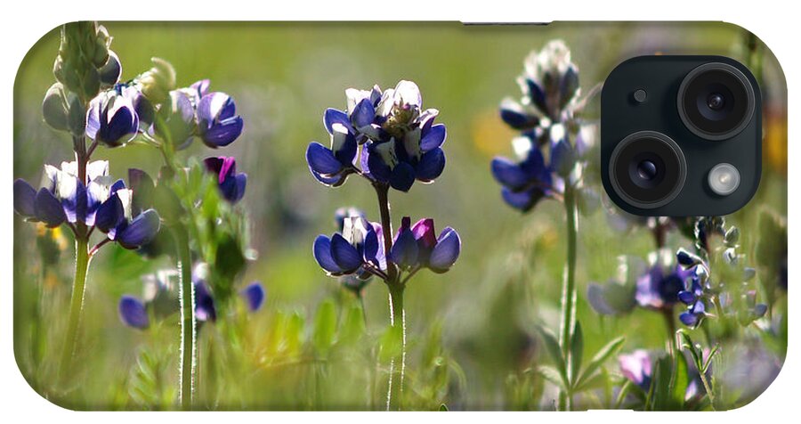 Wild Flower Image iPhone Case featuring the photograph Morning Wild Flowers by Haleh Mahbod
