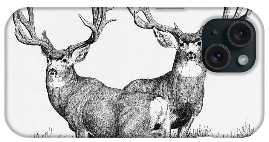 Large Mule Deer Bucks iPhone Case featuring the painting Morty and Popeye by Darcy Tate