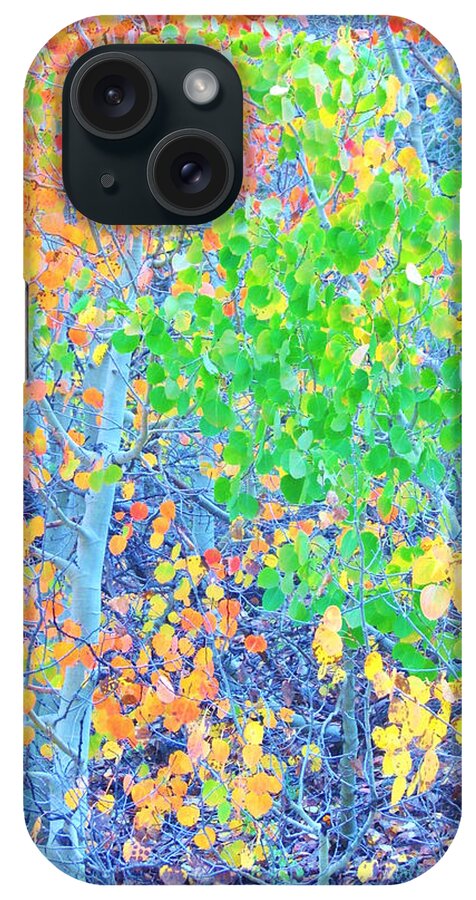 Trees iPhone Case featuring the photograph Mosaic Autumn by Marilyn Diaz
