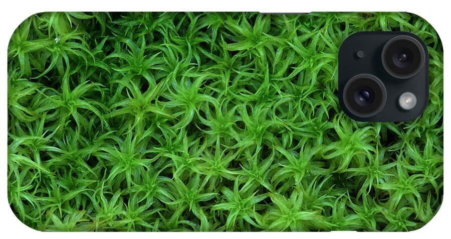 Atrichum Sp. iPhone Case featuring the photograph Moss by Daniel Reed