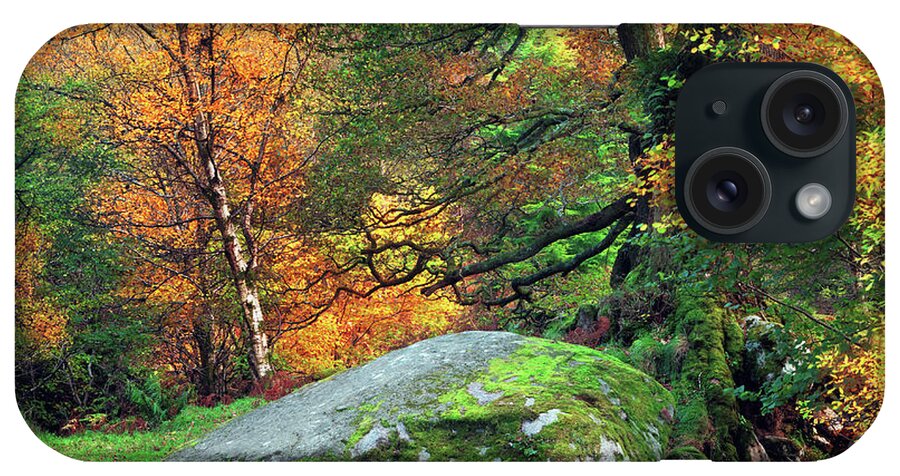 County Wicklow iPhone Case featuring the photograph Mossy Boulder In The Autumn Forest by Mammuth