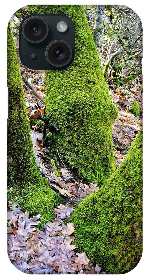 Abstract iPhone Case featuring the photograph Mossy Oaks by Mark Robert Bein