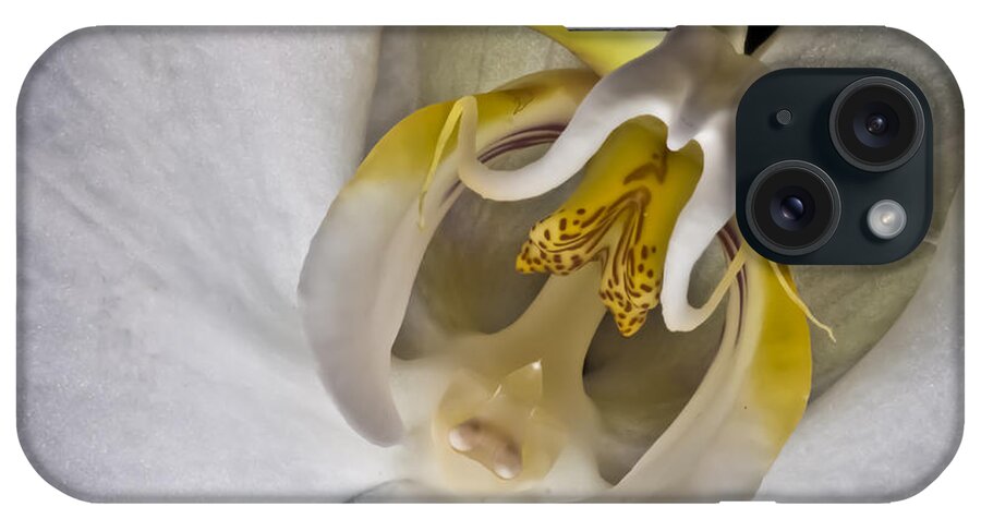 Moth Orchid iPhone Case featuring the photograph Moth Orchid Inverted by Ron White