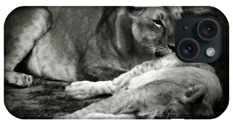 Lioness And Baby iPhone Case featuring the photograph Mother Love by Christine Sponchia