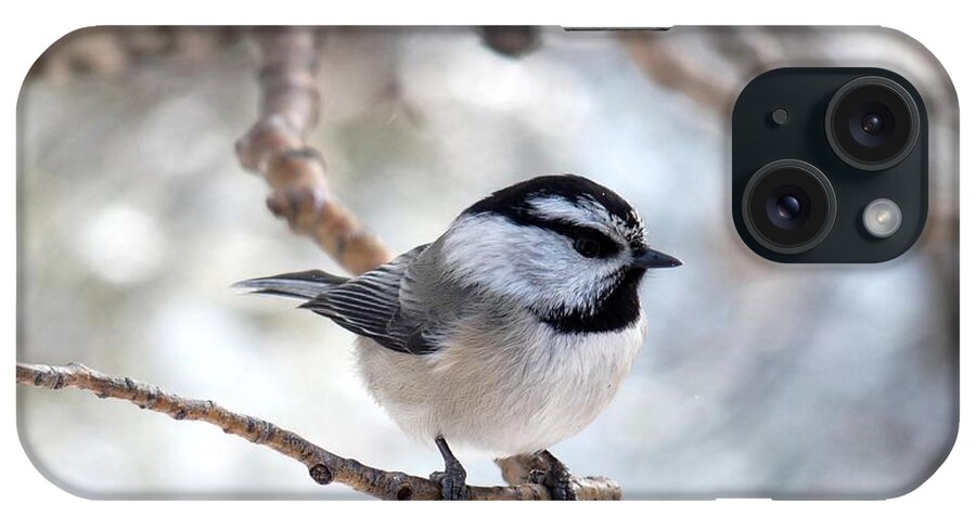 Colorado iPhone Case featuring the photograph Mountain Chickadee on Branch by Marilyn Burton