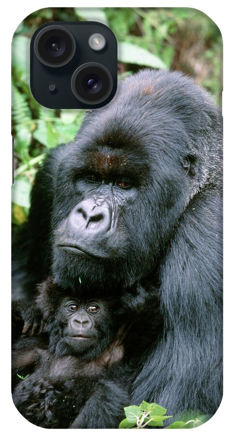 Gorilla Gorilla Beringei iPhone Case featuring the photograph Mountain Gorilla And Infant by Tony Camacho/science Photo Library