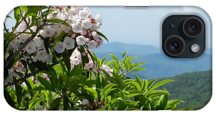 Mountain Laurel iPhone Case featuring the photograph Mountain Laurel by Deborah Ferree