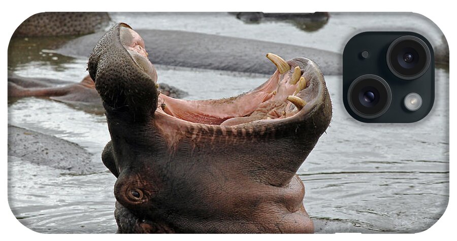 Hippo iPhone Case featuring the photograph Mouth wide open by Tony Murtagh