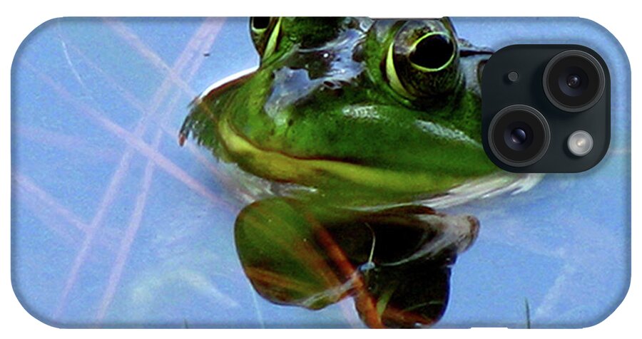 Frog iPhone Case featuring the photograph Mr. Frog by Donna Brown