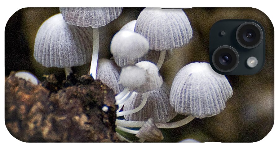 Mushroom iPhone Case featuring the photograph Mushroom Family by Patricia Bolgosano