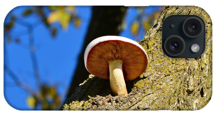 Mushroom iPhone Case featuring the photograph Mushroom in a Tree by Ally White
