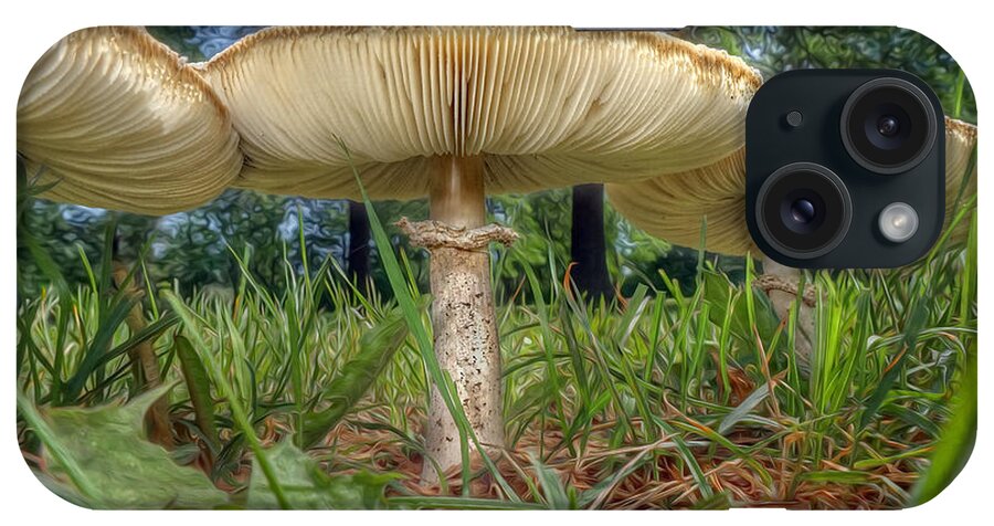 Mushroom iPhone Case featuring the photograph Mushroom Trio by Martin Konopacki