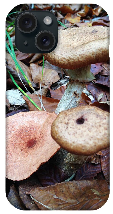 Mushrooms iPhone Case featuring the photograph Mushroom8 by Jeff Klingler