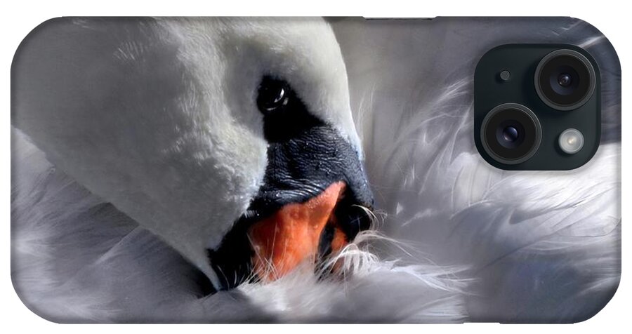 Swan iPhone Case featuring the digital art Mute Swan by Dale  Ford