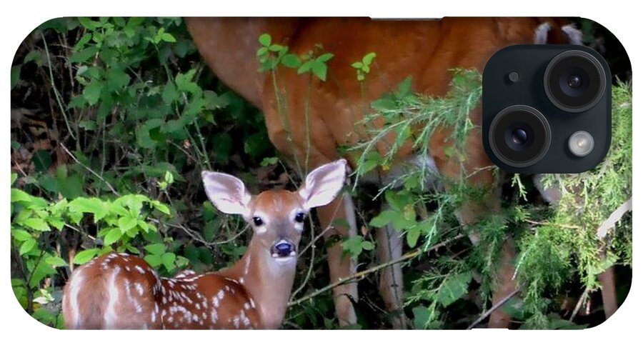 Deer iPhone Case featuring the photograph My Baby by Deena Stoddard