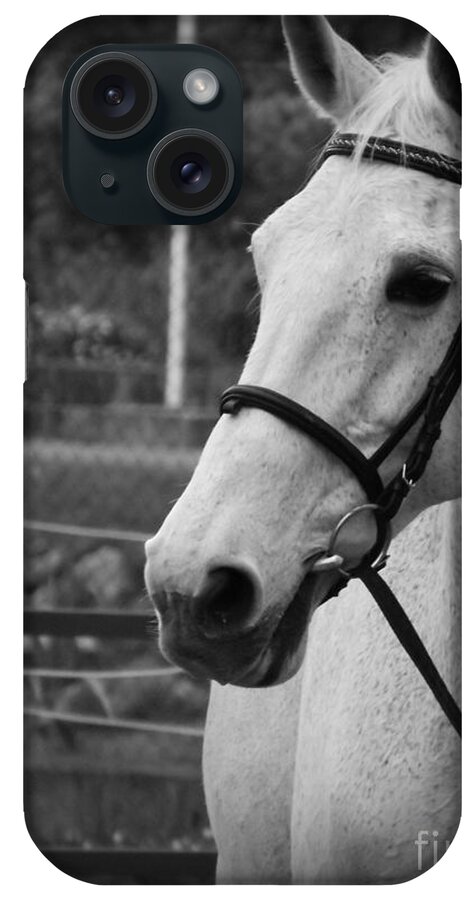 Horses iPhone Case featuring the photograph My best Friend by Clare Bevan