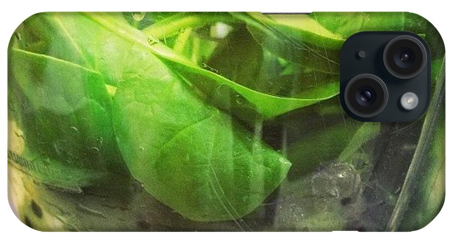 Smoothie iPhone Case featuring the photograph My Favorite Way To Eat My #spinach Is by Brooklyn Cole