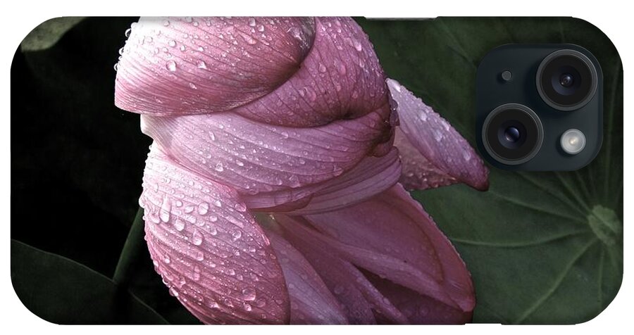 Lotus iPhone Case featuring the photograph My Lotus My Love by Larry Knipfing
