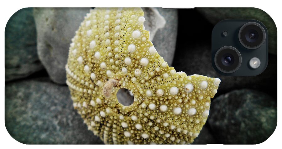 Pearls iPhone Case featuring the photograph My Pearls by Zinvolle Art