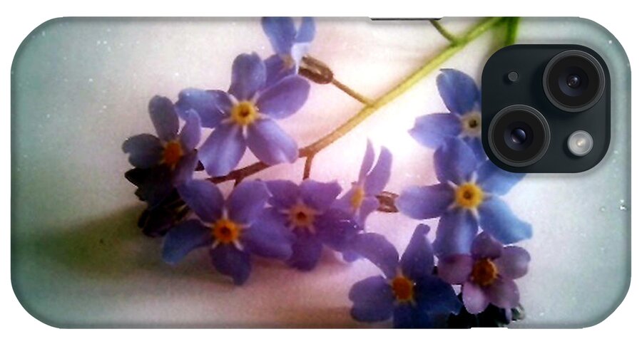 Flower iPhone Case featuring the photograph Myosotis Forget me not by Vix Edwards