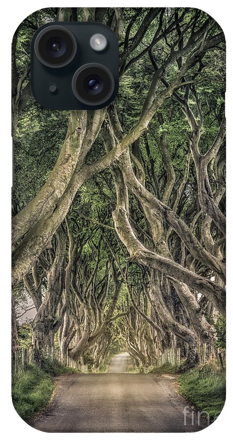 Dark Hedges; Hedges; Ireland; Northern Ireland; Britain; Road; Dark; Tree; Trees; Stick; Brunch; Leaves; Green; Passage; Way; Corridor; Tunnel; Mood; Moody; Mystic; Mystical; Mystery; Mysterious; Country; Countryside; Rural; Nature; Landscape; Kremsdorf; Evelina Kremsdorf iPhone Case featuring the photograph Mysterious Ways by Evelina Kremsdorf