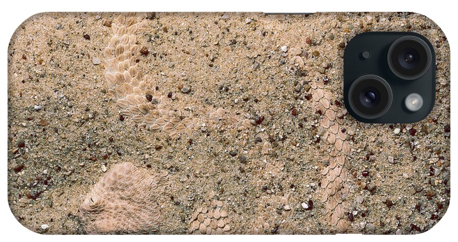 Texa Zoo iPhone Case featuring the photograph Namib Viper by Gregory G. Dimijian, M.D.