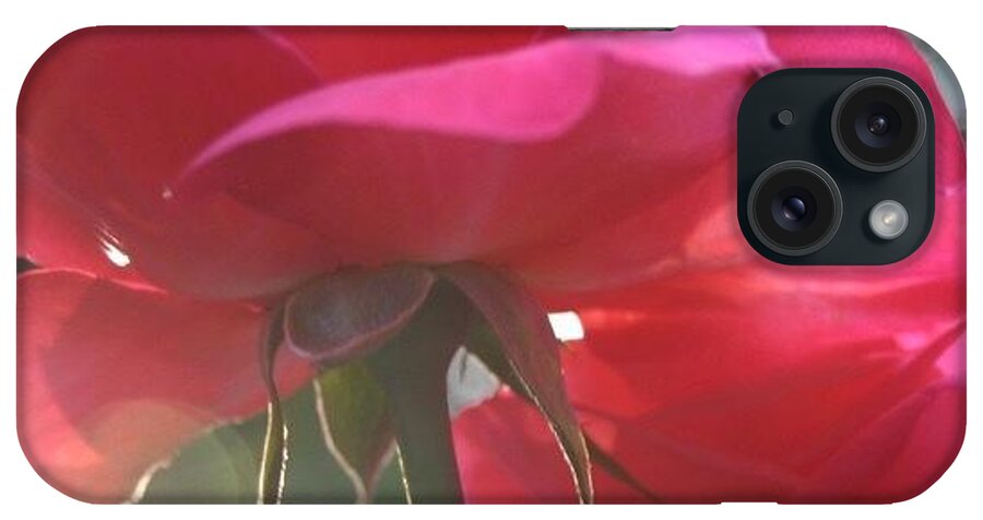 Floral iPhone Case featuring the photograph Natural Beauty LadyBird Red Rose by Anna Porter