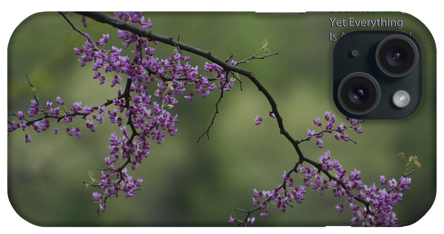 Tree iPhone Case featuring the photograph Nature Does Not Hurry Blossoms In Purple by Thomas Woolworth