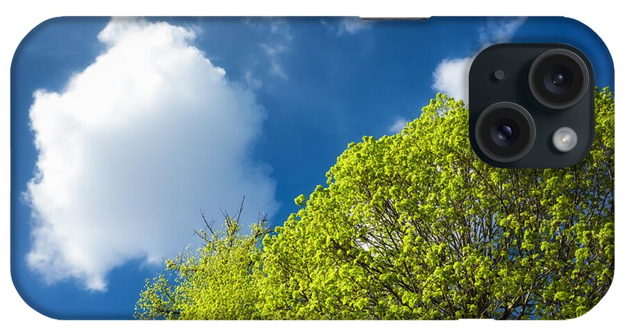 Spring iPhone Case featuring the photograph Nature in spring - bright green tree and blue sky by Matthias Hauser