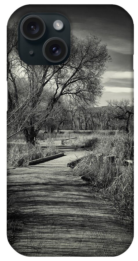 Black And White Photography iPhone Case featuring the photograph Nature Preserve Trail by David Waldrop