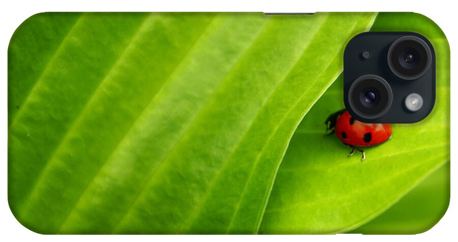 Ladybug iPhone Case featuring the photograph Naturellement Complementaire by Aimelle Ml