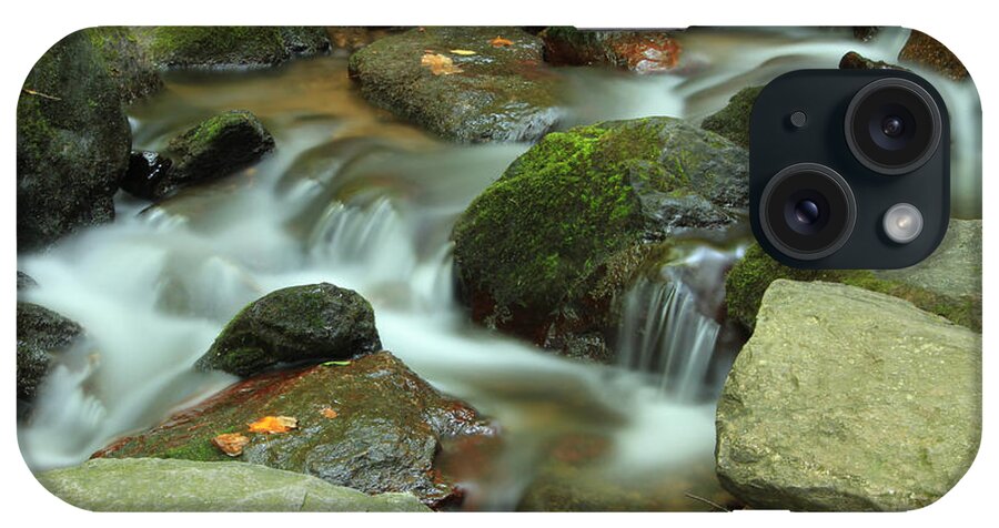 Still Life Photography iPhone Case featuring the photograph Nature's Beauty by Mary Buck