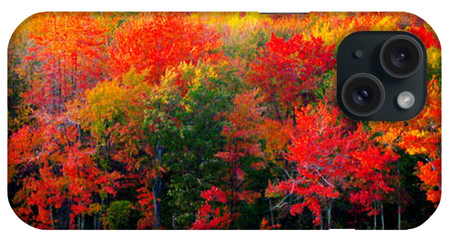 Lake iPhone Case featuring the photograph Natures Pallette by Joseph Noonan