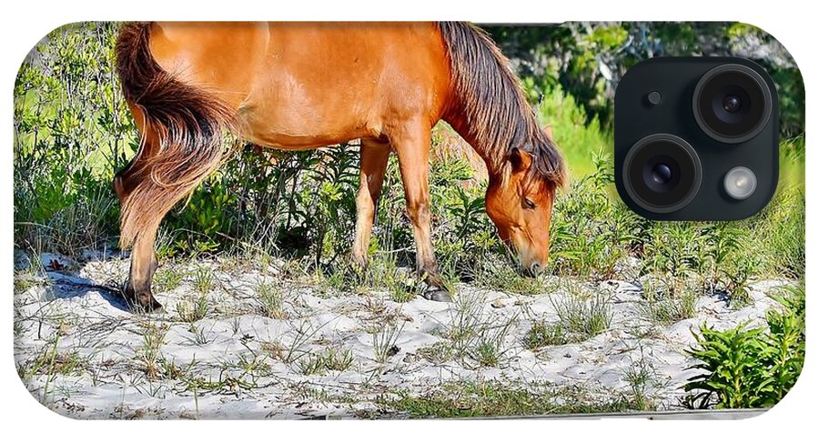 Horse iPhone Case featuring the photograph Nature's Treasure - Wild Horses of Assateague Island by Kim Bemis