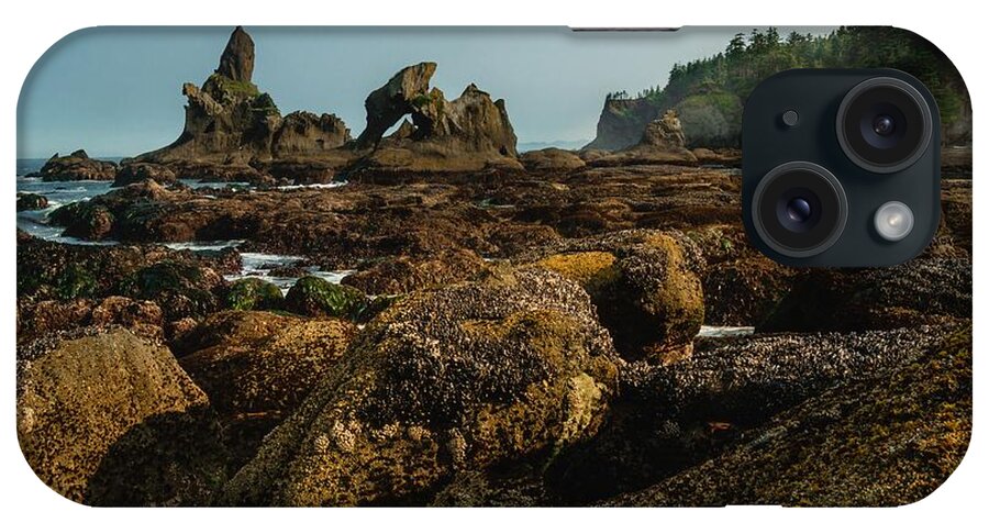 Seastack iPhone Case featuring the photograph Natures Way by Gene Garnace