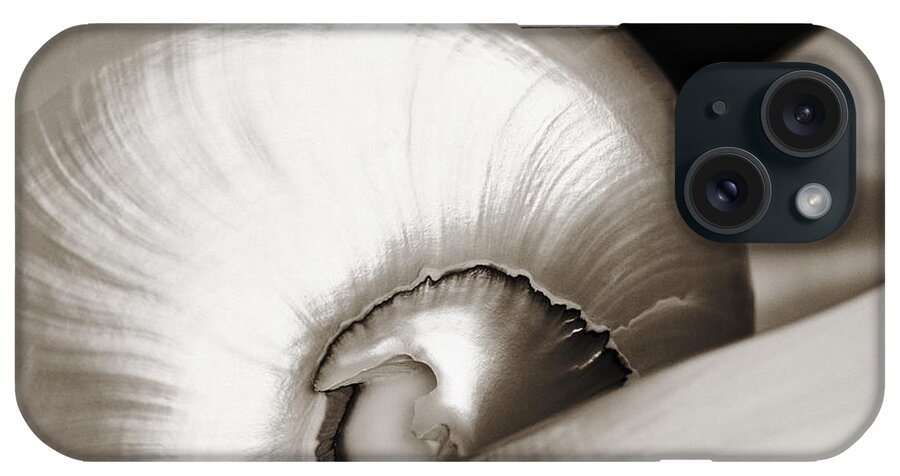 05-csm0015 iPhone Case featuring the photograph Nautilus Shell Sepia by Carl Shaneff - Printscapes