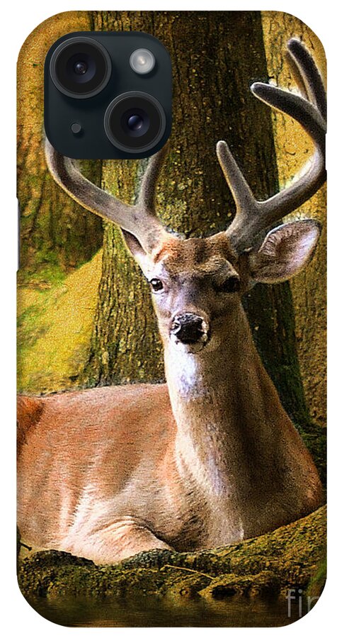 Mammals iPhone Case featuring the photograph Nestled In The Woods by Kathy Baccari