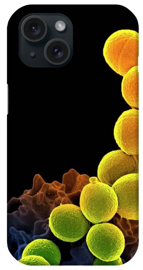 Mrsa iPhone Case featuring the photograph Neutrophil Engulfing Mrsa by National Institute Of Allergy And Infectious Diseases (niaid)/national Institutes Of Health