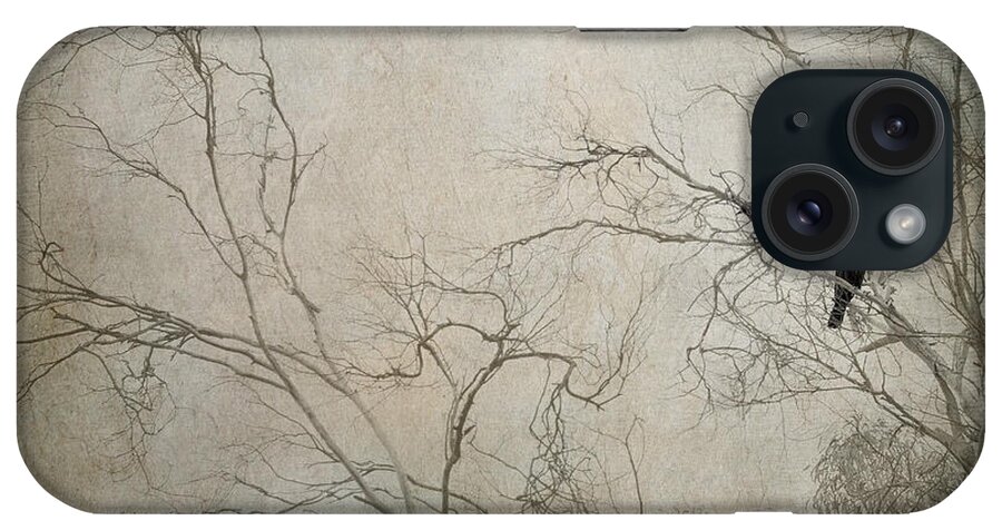 Raven iPhone Case featuring the photograph Nevermore... by Amy Weiss