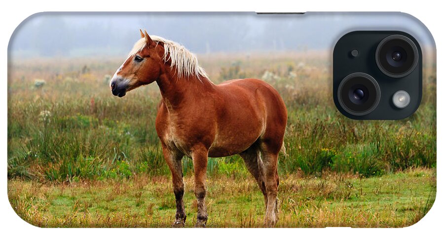 Horse iPhone Case featuring the photograph New Brunswick Horse by Ben Graham