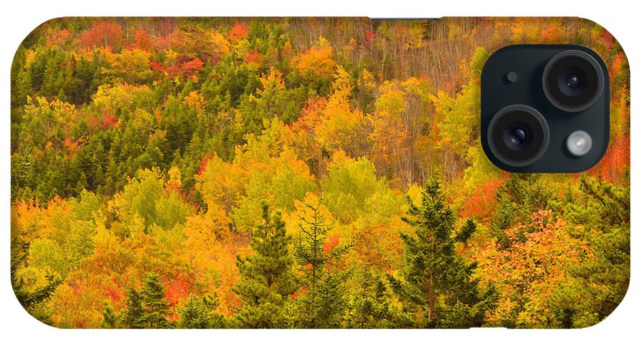 Autumn iPhone Case featuring the photograph New England Fall Color Explosion by Stephen Vecchiotti